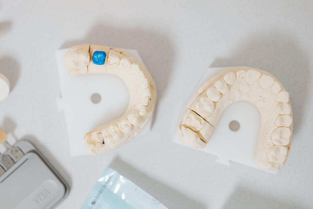 dental crown model